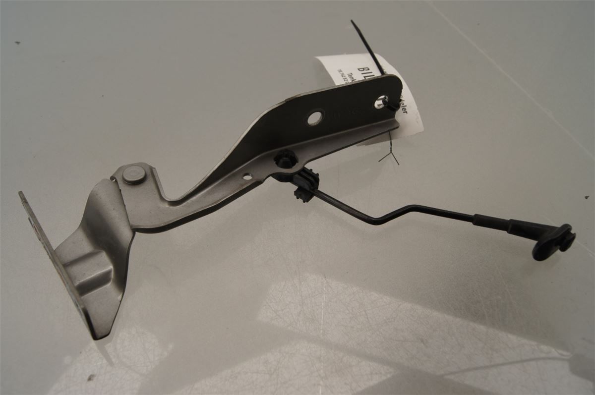 Panser Hengsel / Hengsler – bilde 2