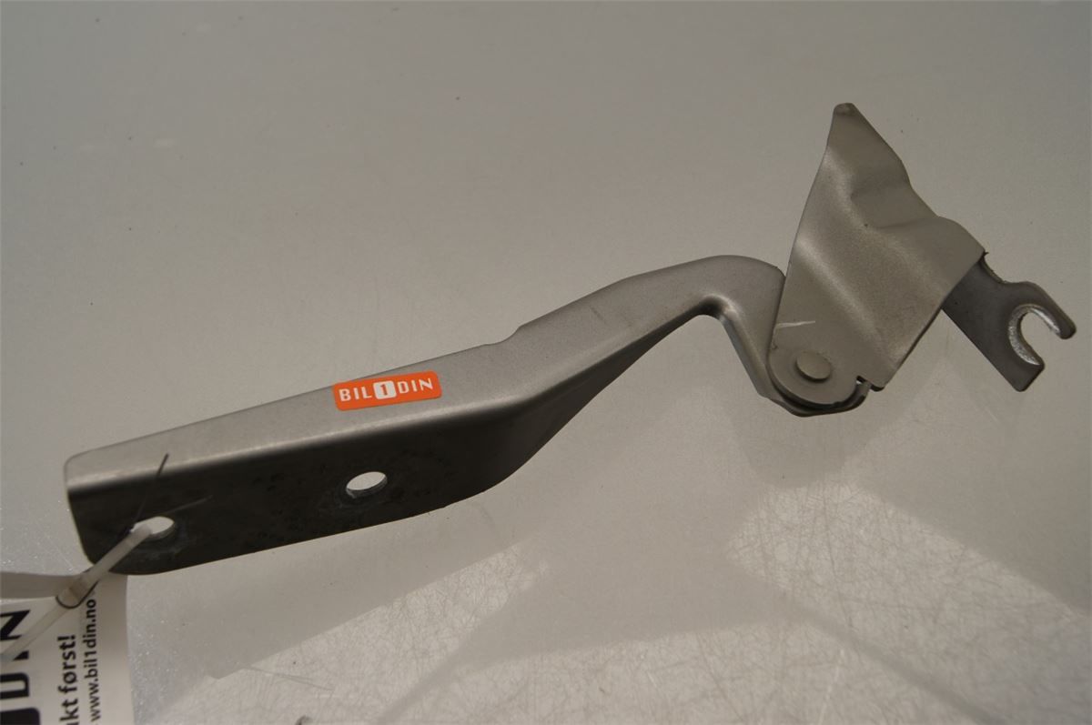 Panser Hengsel / Hengsler – bilde 1