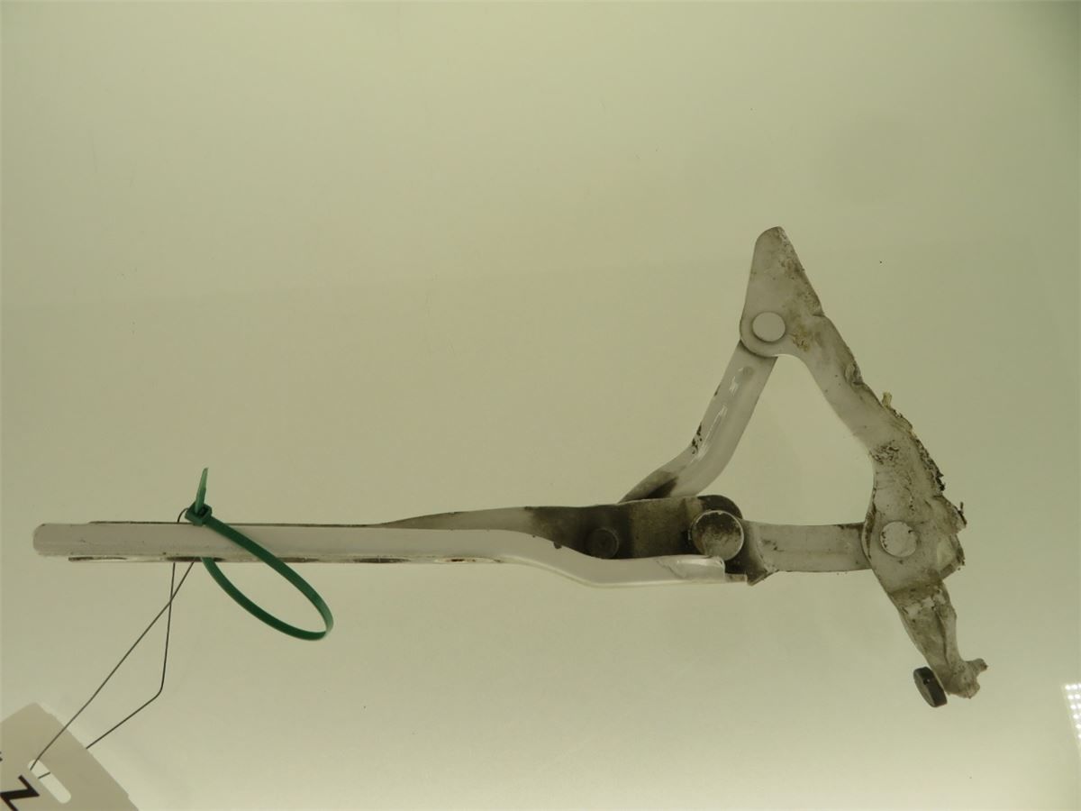 Panser Hengsel / Hengsler – bilde 1