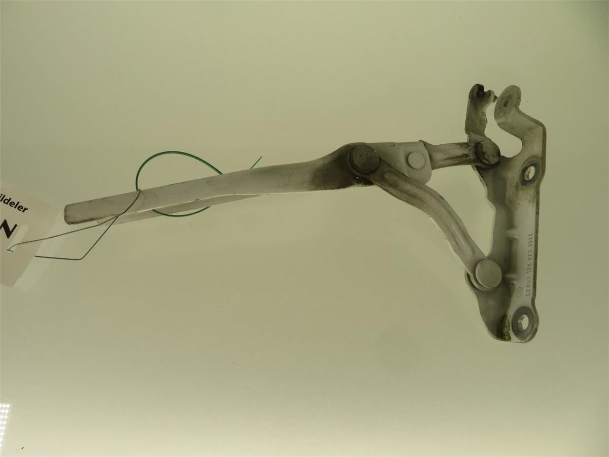 Panser Hengsel / Hengsler – bilde 2