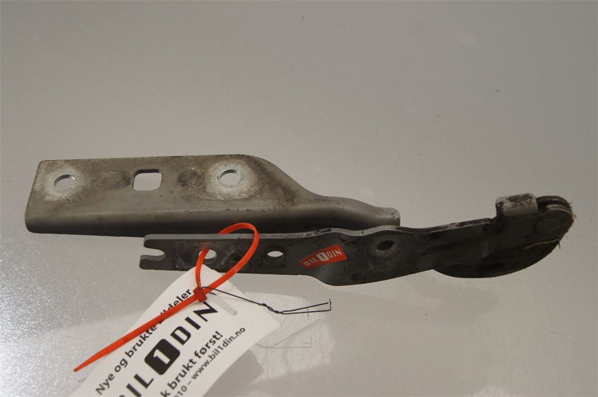 Panser Hengsel / Hengsler – bilde 1
