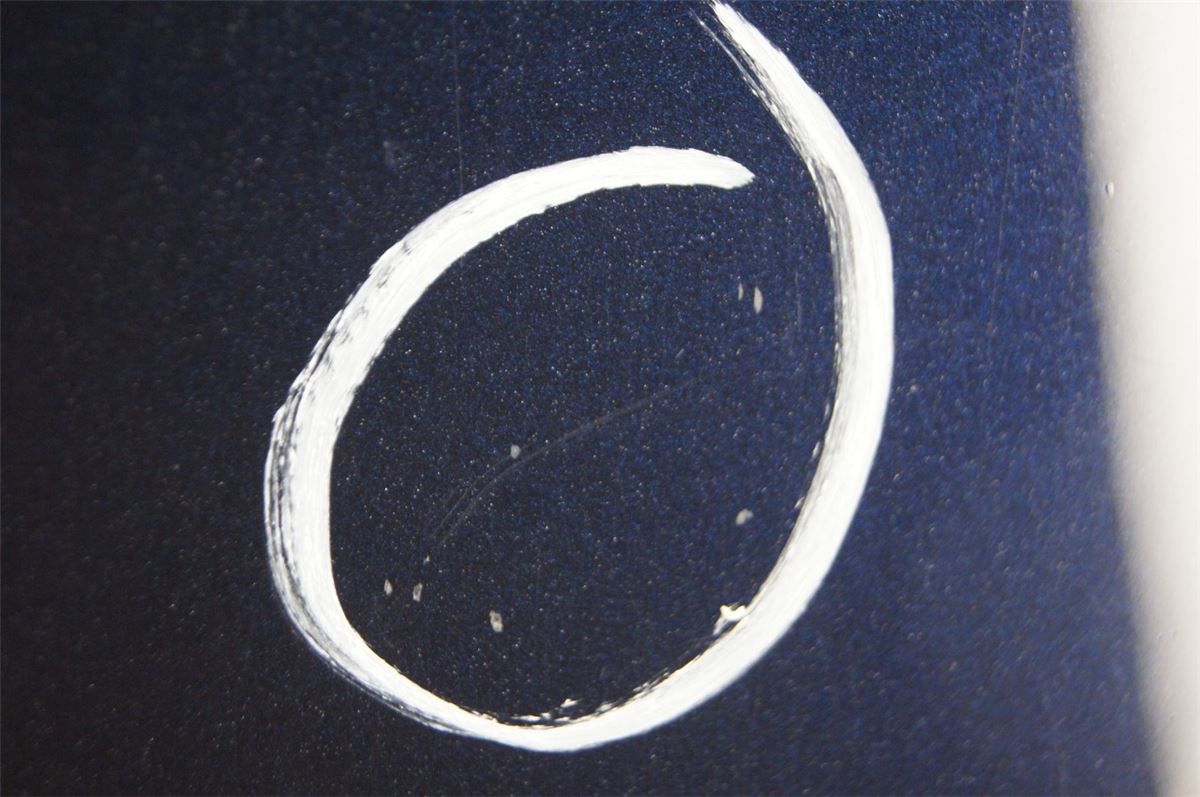 Panser – bilde 6