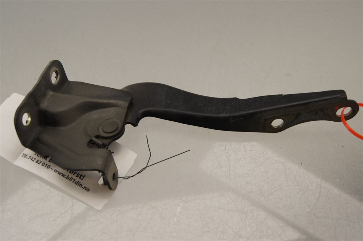 Panser Hengsel / Hengsler – bilde 2