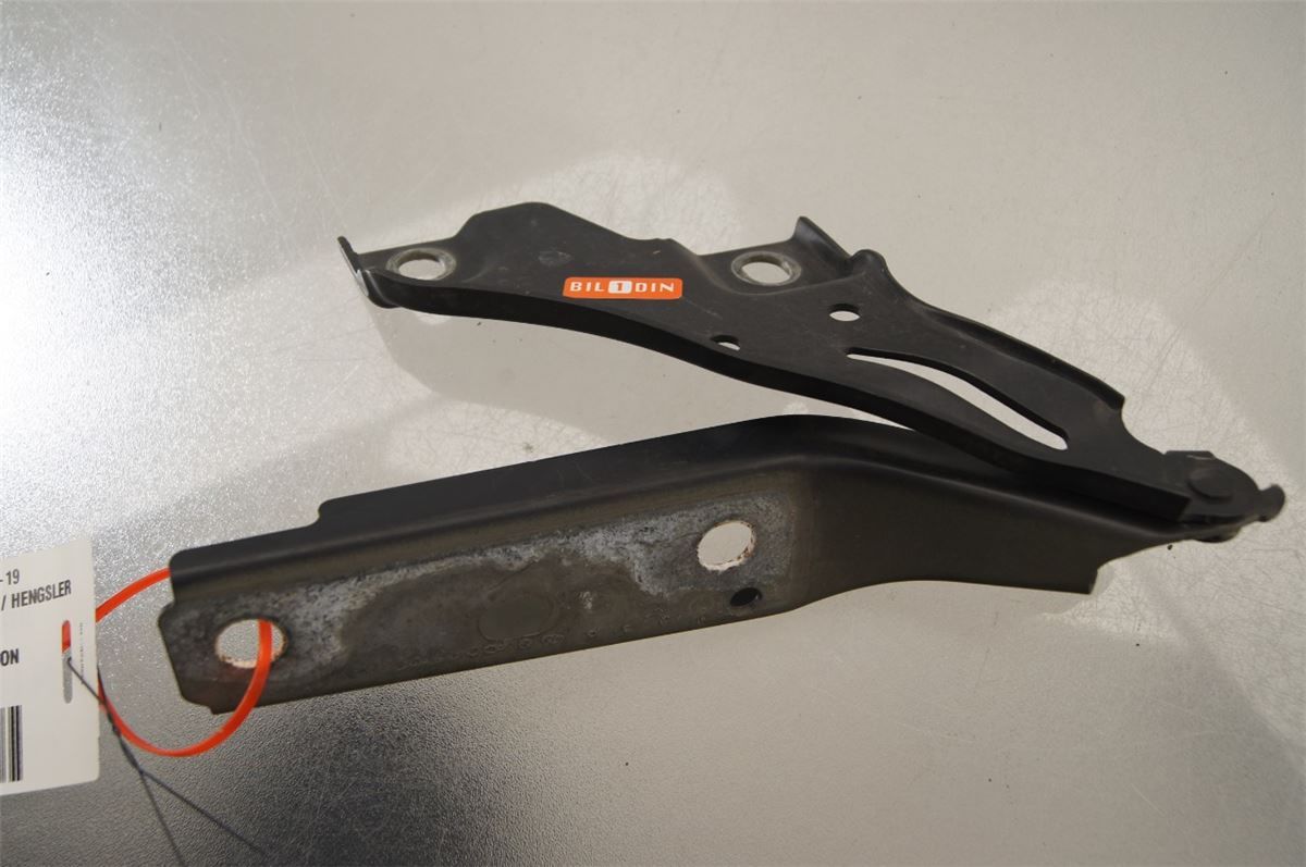Panser Hengsel / Hengsler – bilde 1