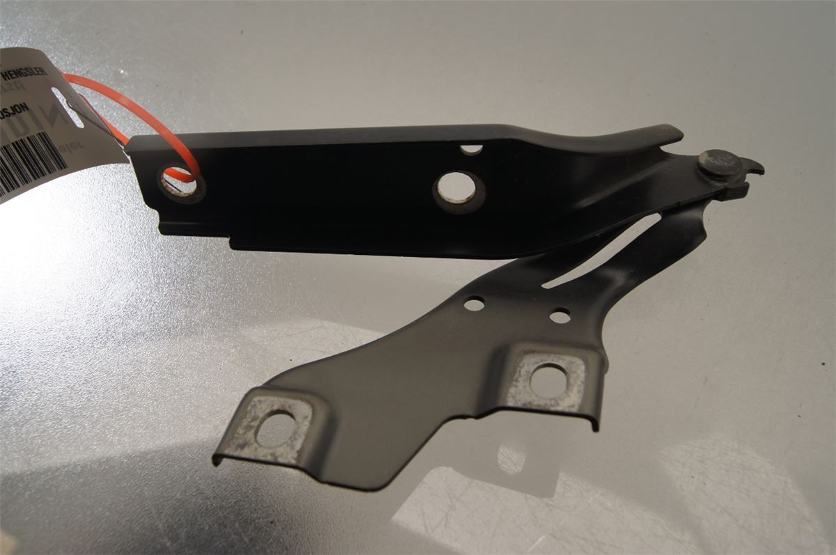 Panser Hengsel / Hengsler – bilde 2