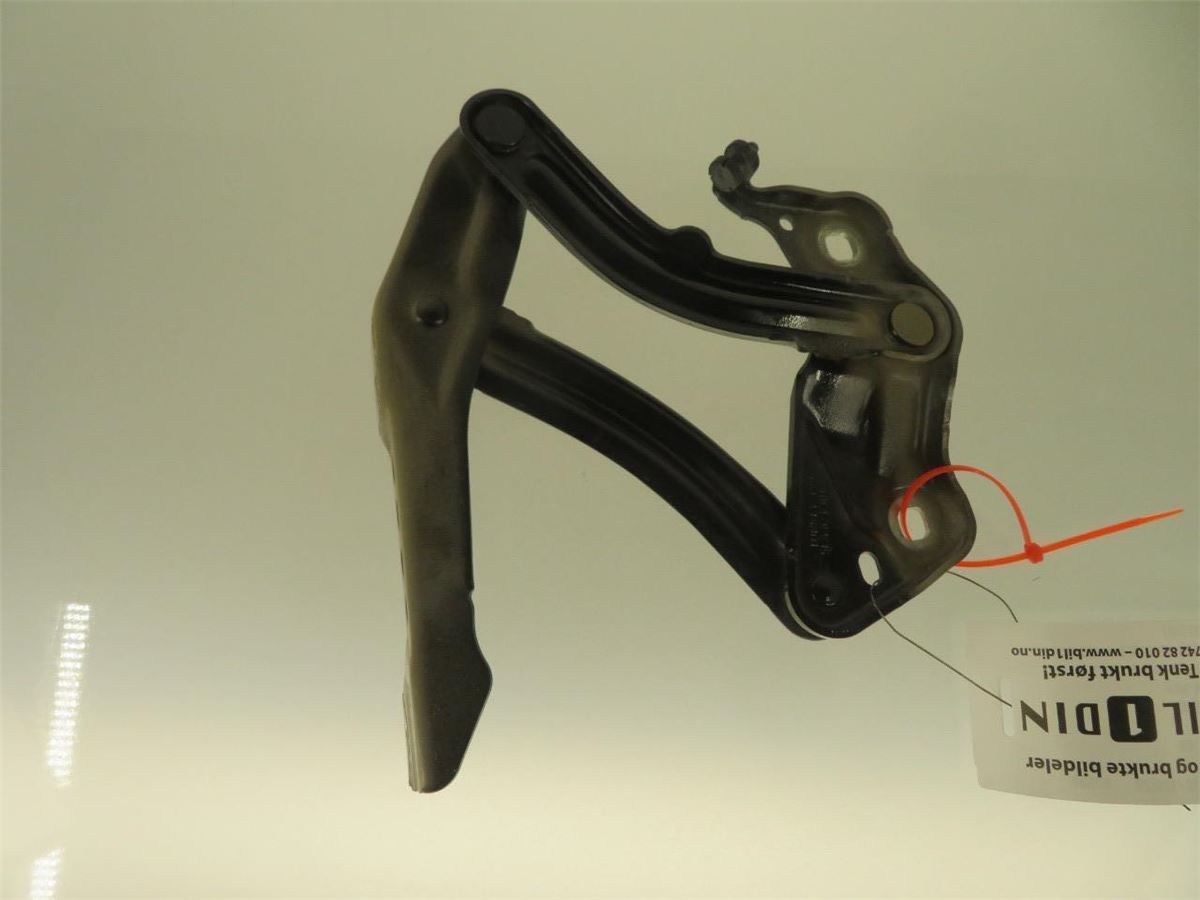 Panser Hengsel / Hengsler – bilde 1
