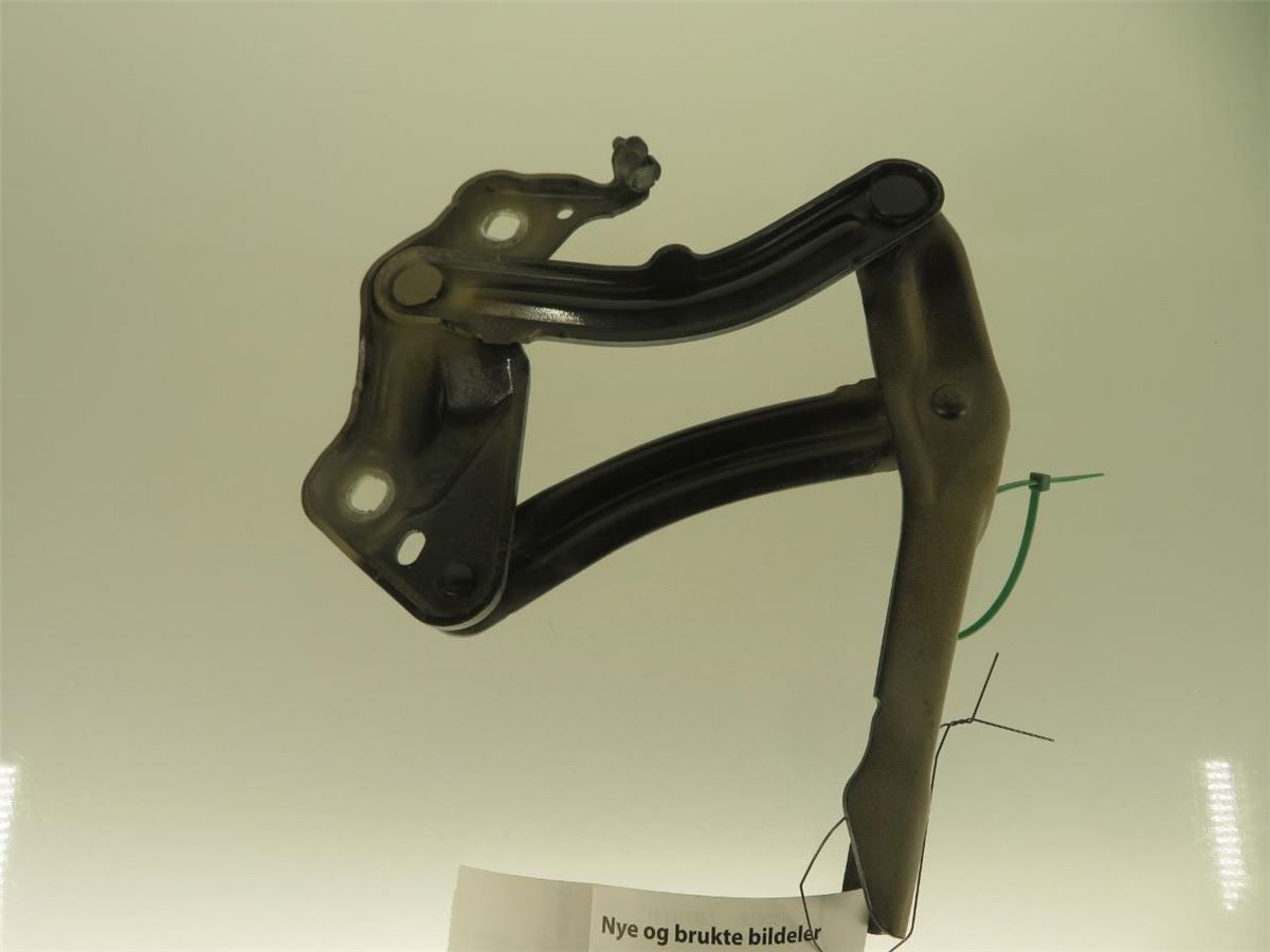 Panser Hengsel / Hengsler – bilde 1
