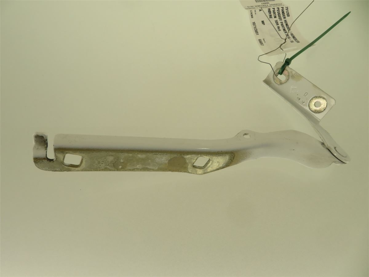 Panser Hengsel / Hengsler – bilde 2