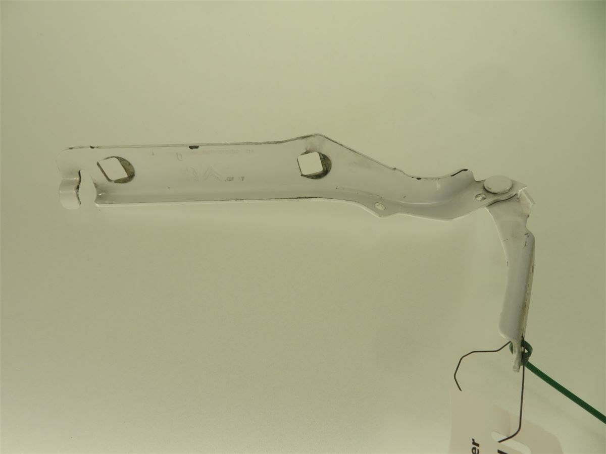Panser Hengsel / Hengsler – bilde 3