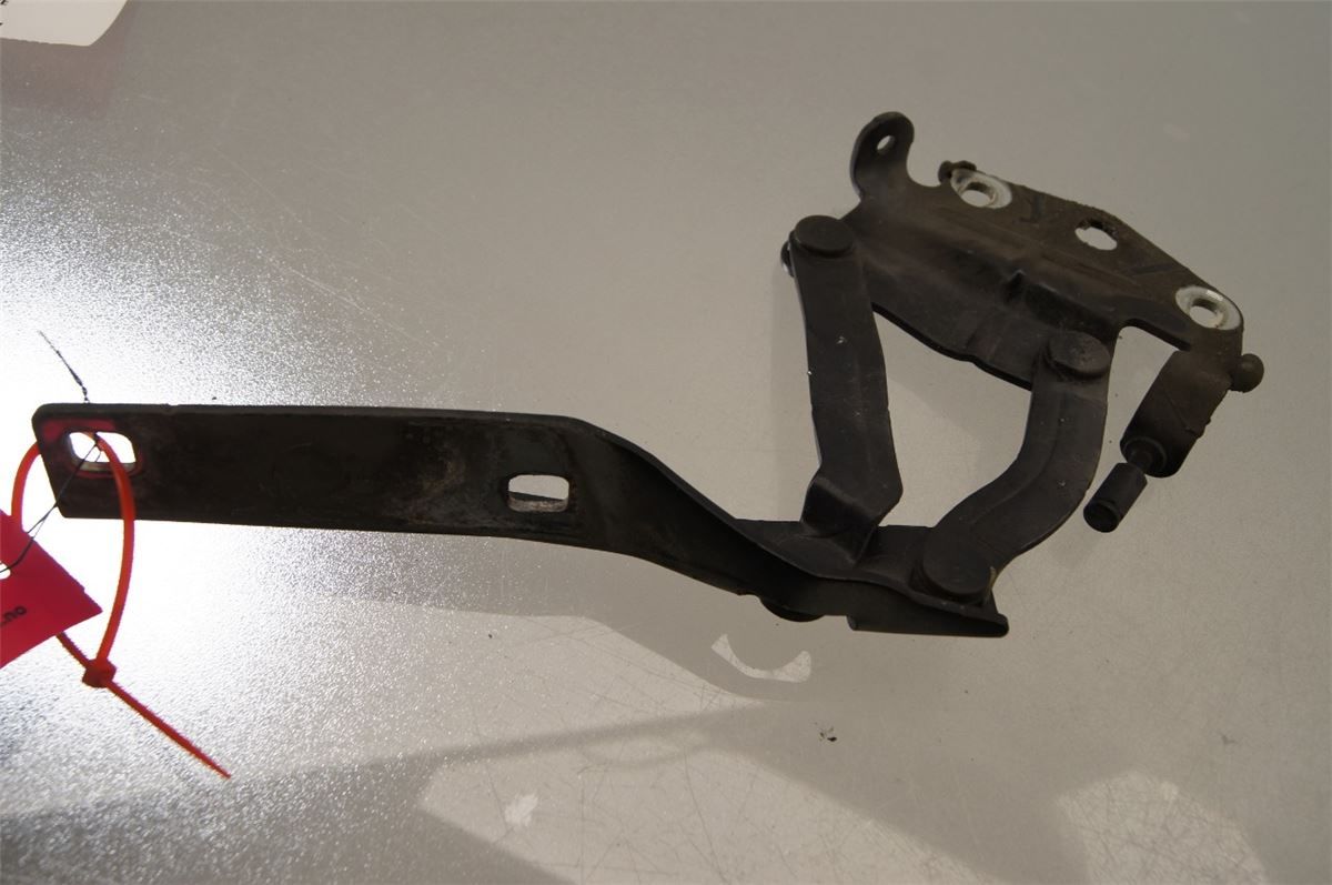 Panser Hengsel / Hengsler – bilde 2