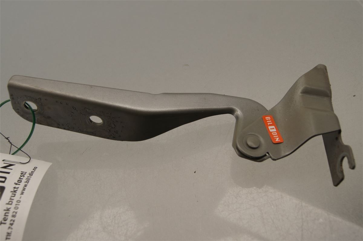 Panser Hengsel / Hengsler – bilde 1