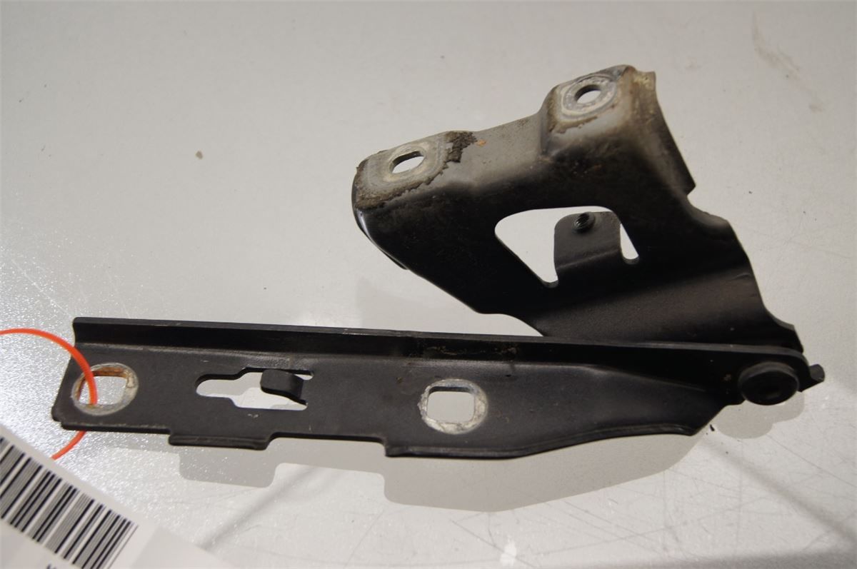 Panser Hengsel / Hengsler – bilde 1