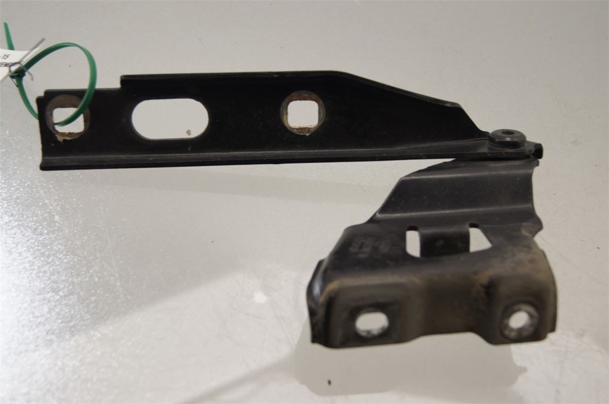 Panser Hengsel / Hengsler – bilde 1