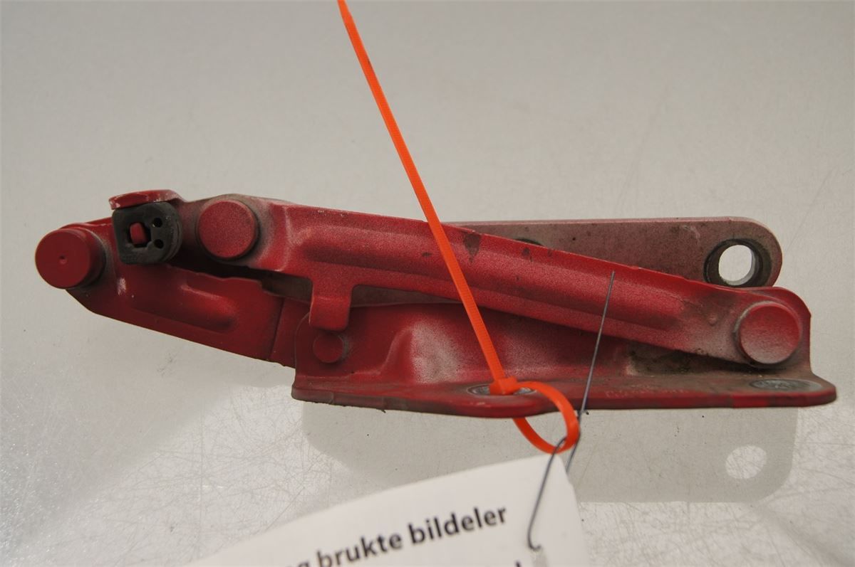 Panser Hengsel / Hengsler – bilde 1