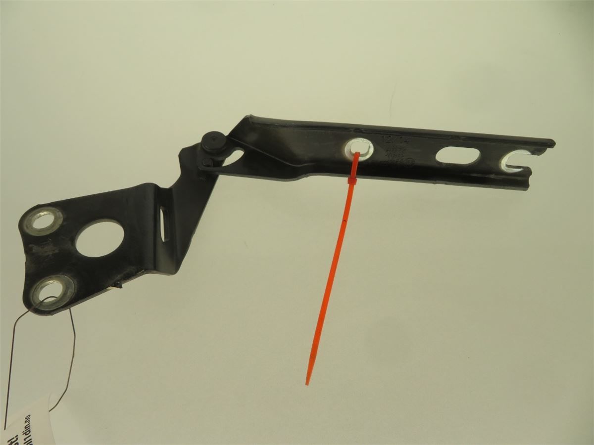 Panser Hengsel / Hengsler – bilde 2