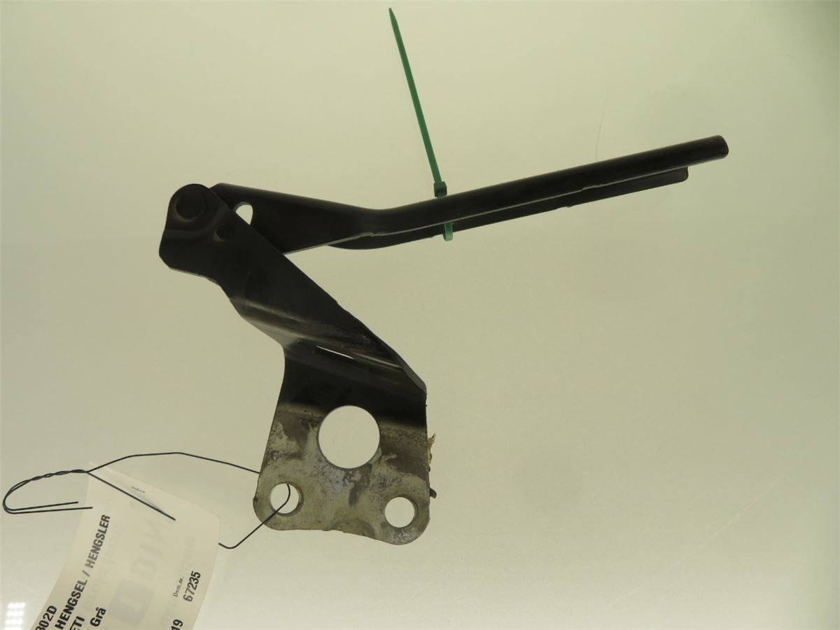 Panser Hengsel / Hengsler – bilde 1