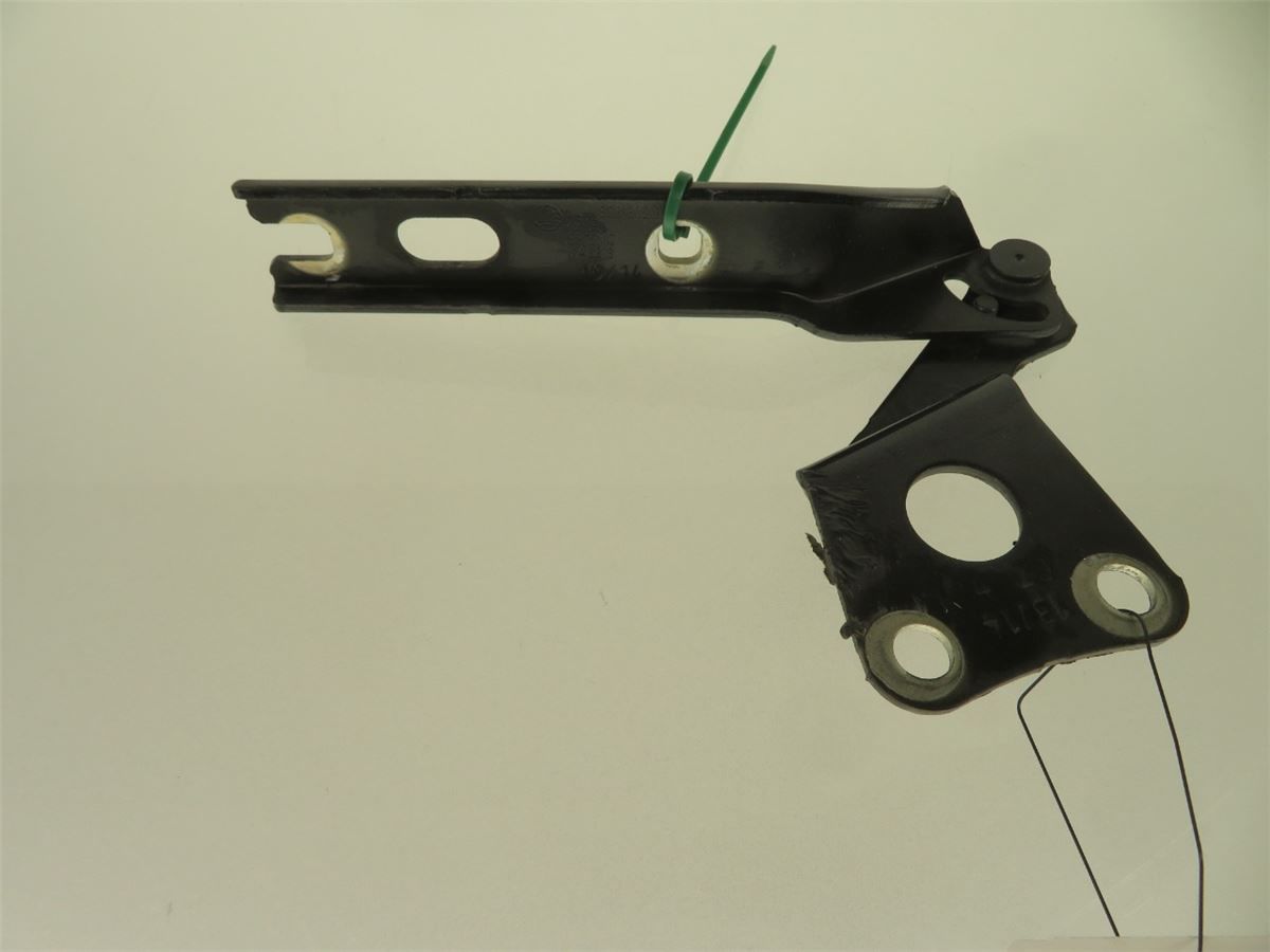Panser Hengsel / Hengsler – bilde 2
