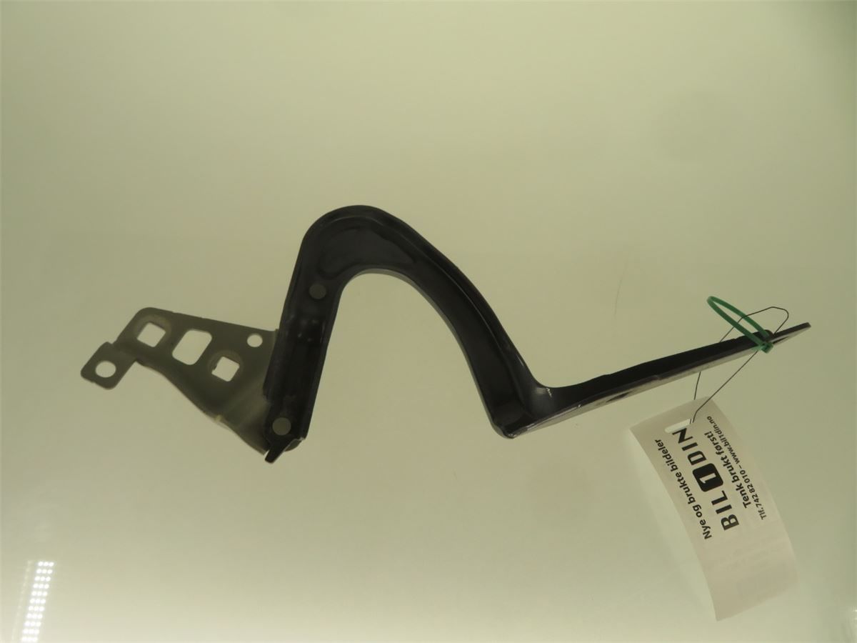Panser Hengsel / Hengsler – bilde 1
