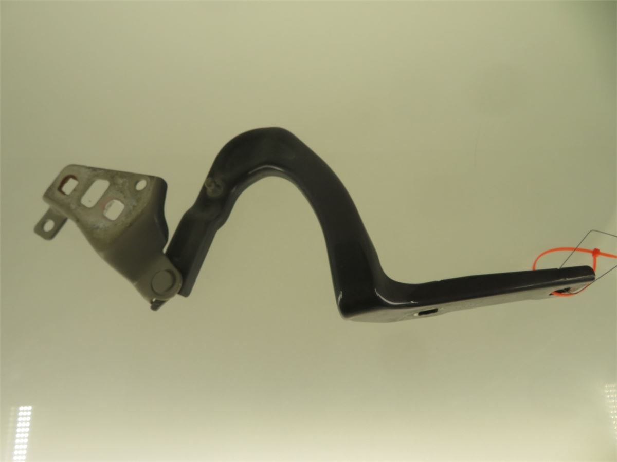 Panser Hengsel / Hengsler – bilde 1