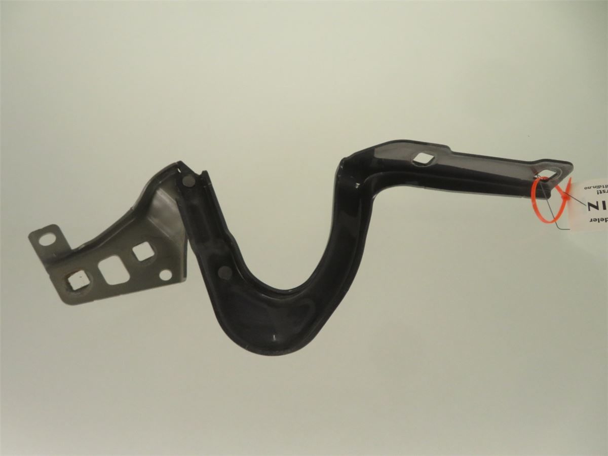 Panser Hengsel / Hengsler – bilde 2