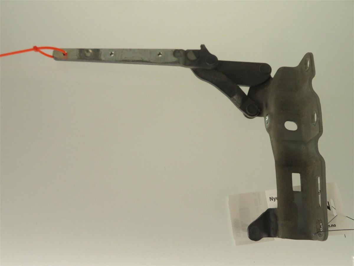 Panser Hengsel / Hengsler – bilde 3