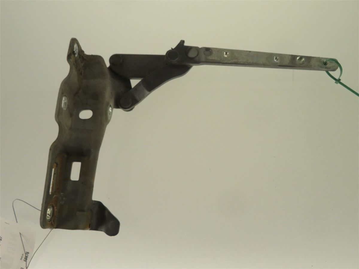 Panser Hengsel / Hengsler – bilde 3