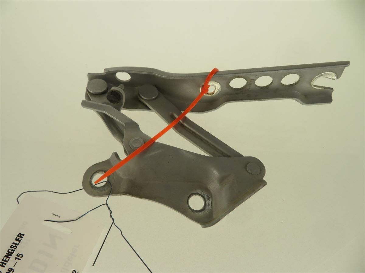 Panser Hengsel / Hengsler – bilde 2