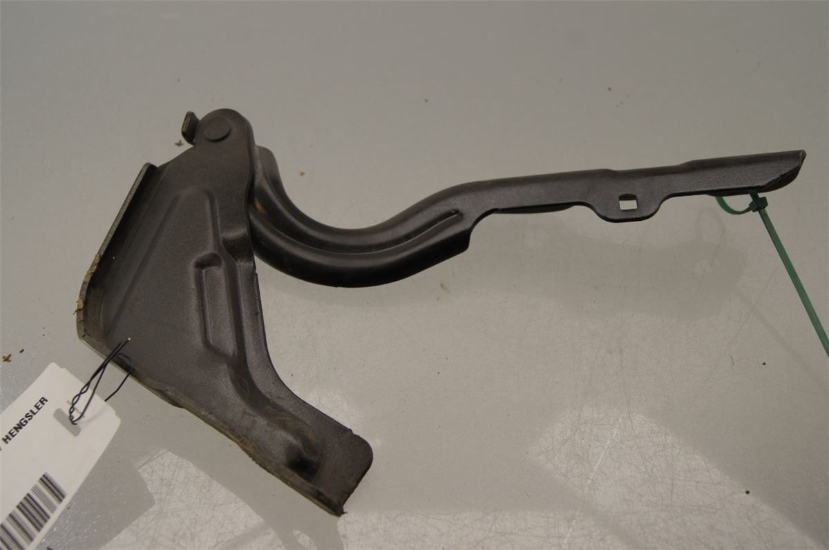 Panser Hengsel / Hengsler – bilde 2