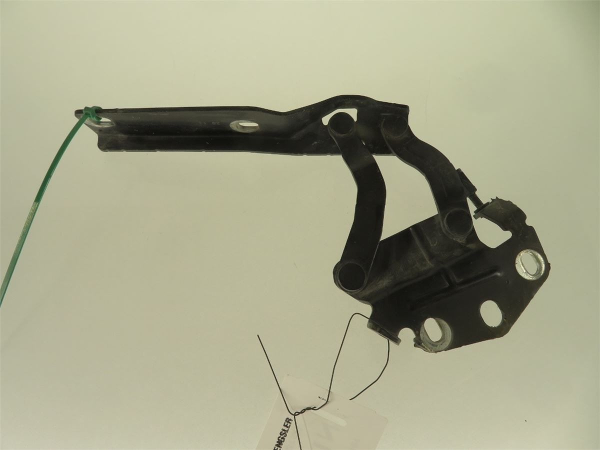 Panser Hengsel / Hengsler – bilde 1