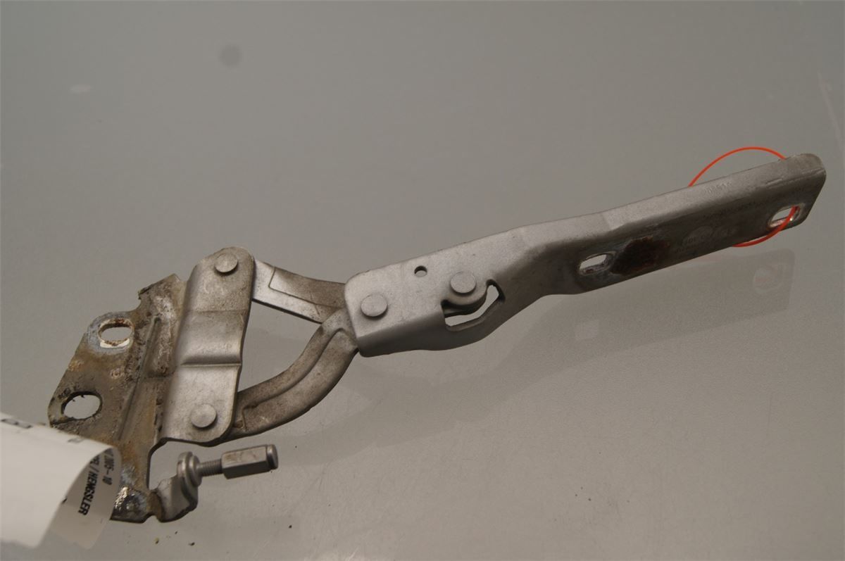 Panser Hengsel / Hengsler – bilde 3