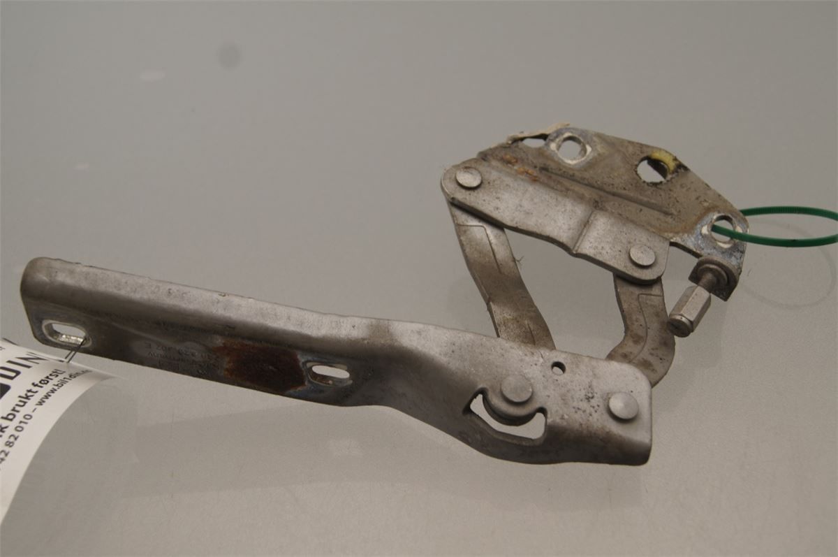 Panser Hengsel / Hengsler – bilde 1