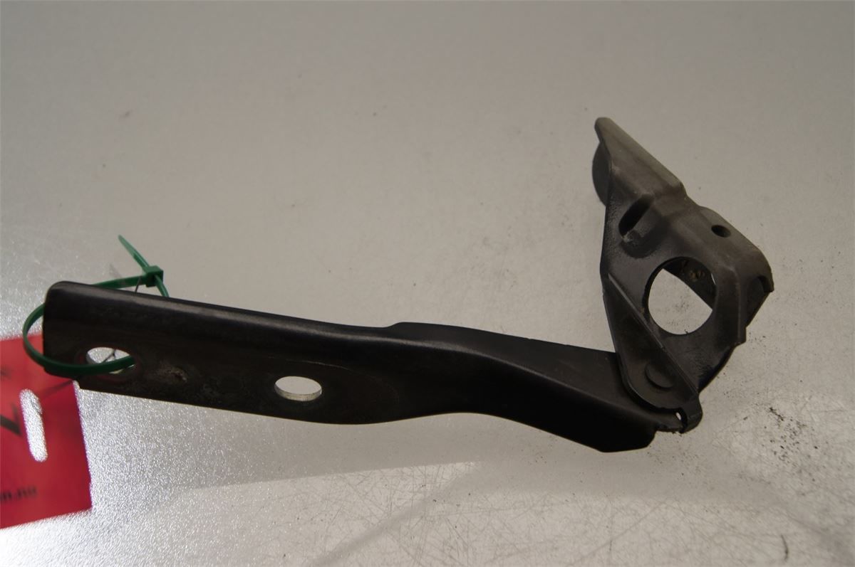 Panser Hengsel / Hengsler – bilde 2