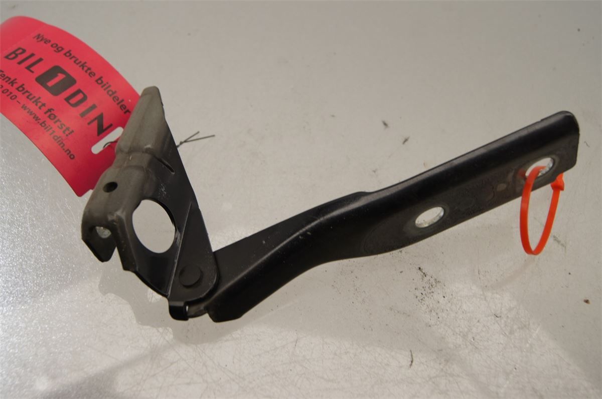 Panser Hengsel / Hengsler – bilde 2