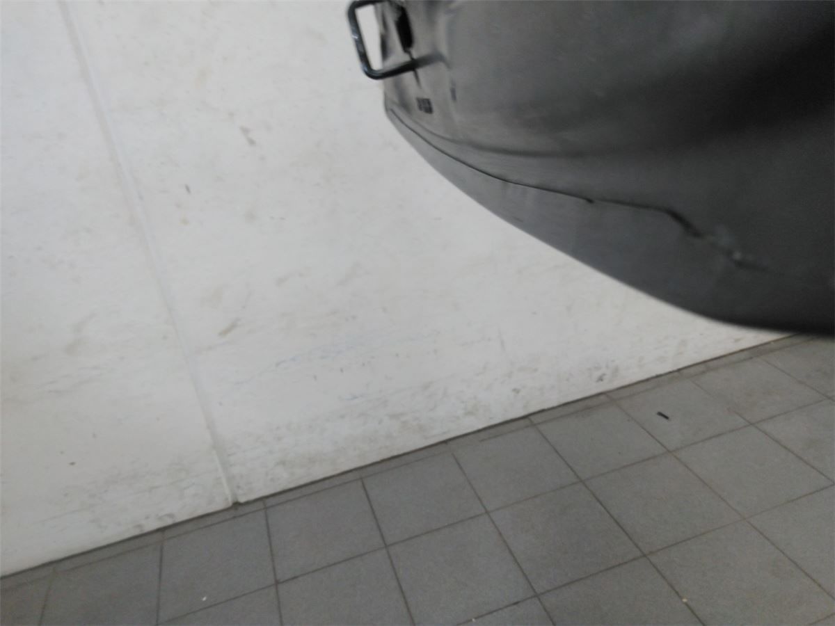 Panser – bilde 3