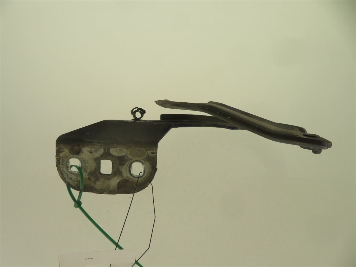 Panser Hengsel / Hengsler – bilde 2