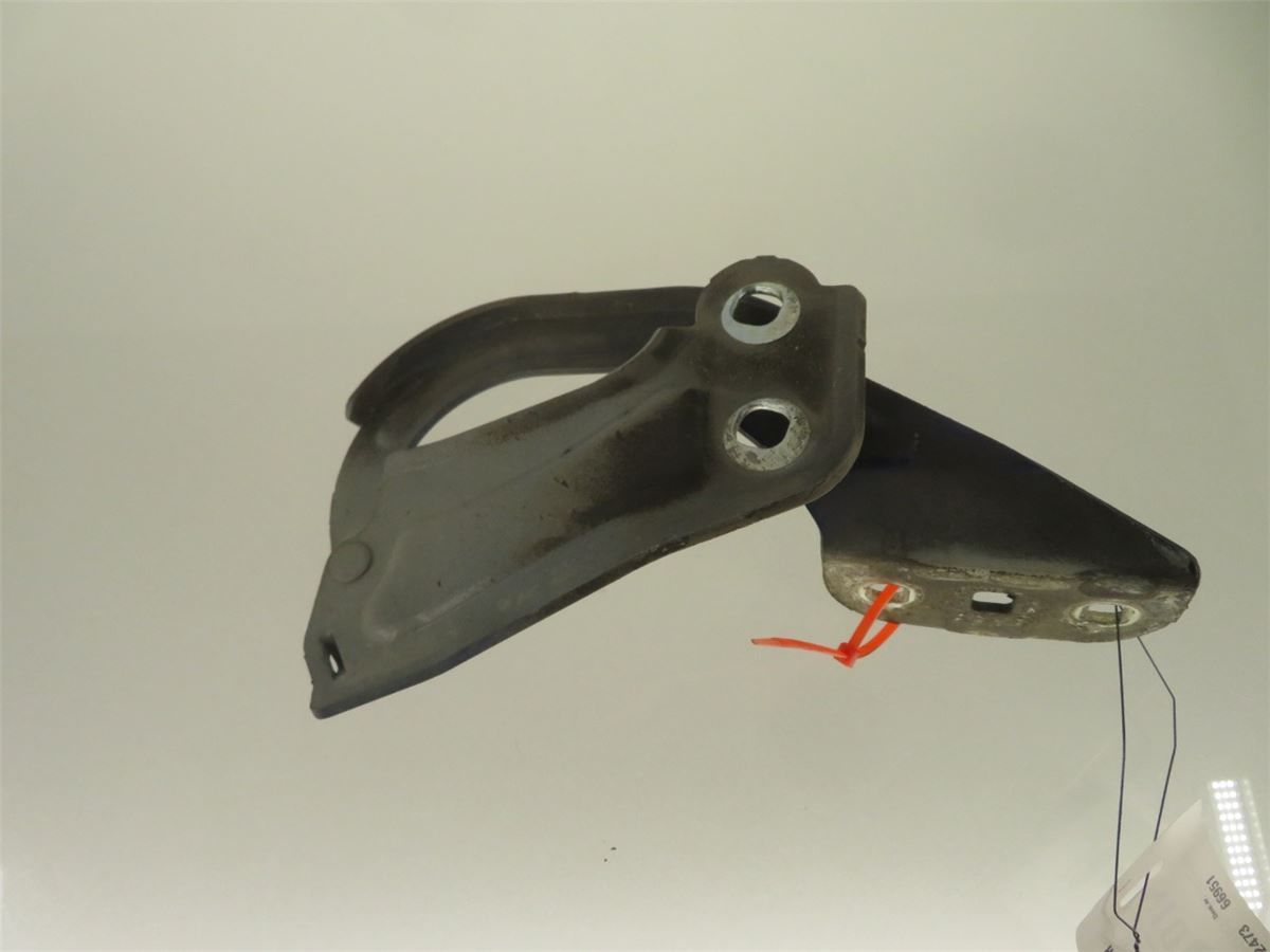 Panser Hengsel / Hengsler – bilde 2