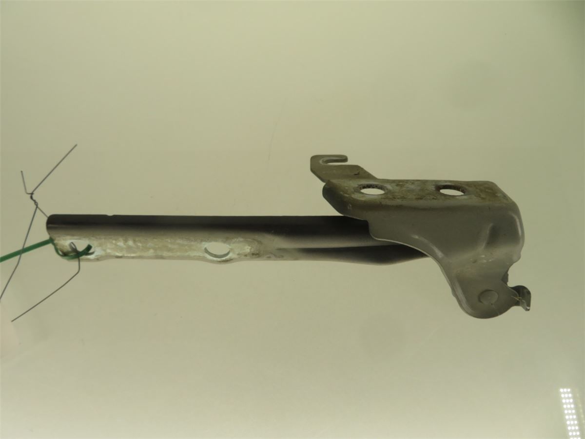 Panser Hengsel / Hengsler – bilde 1