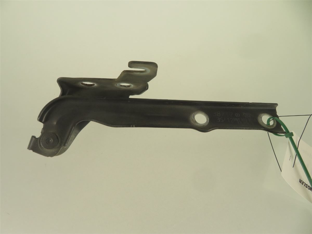 Panser Hengsel / Hengsler – bilde 2