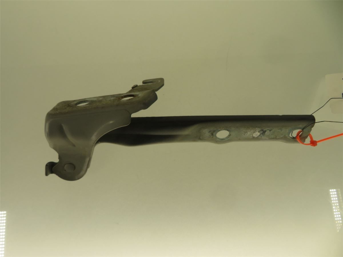 Panser Hengsel / Hengsler – bilde 3