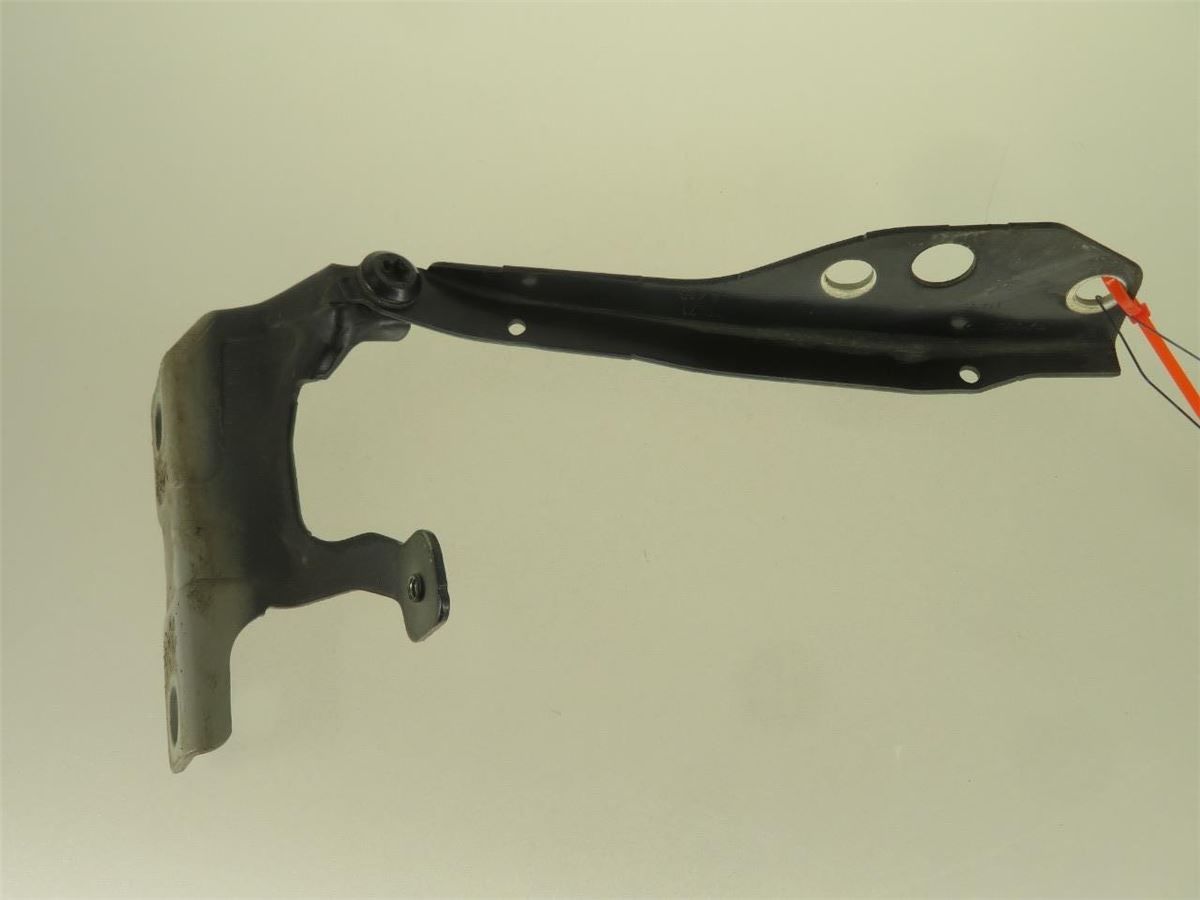 Panser Hengsel / Hengsler – bilde 1