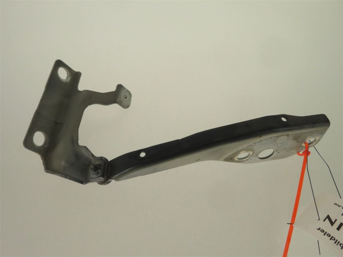 Panser Hengsel / Hengsler – bilde 2