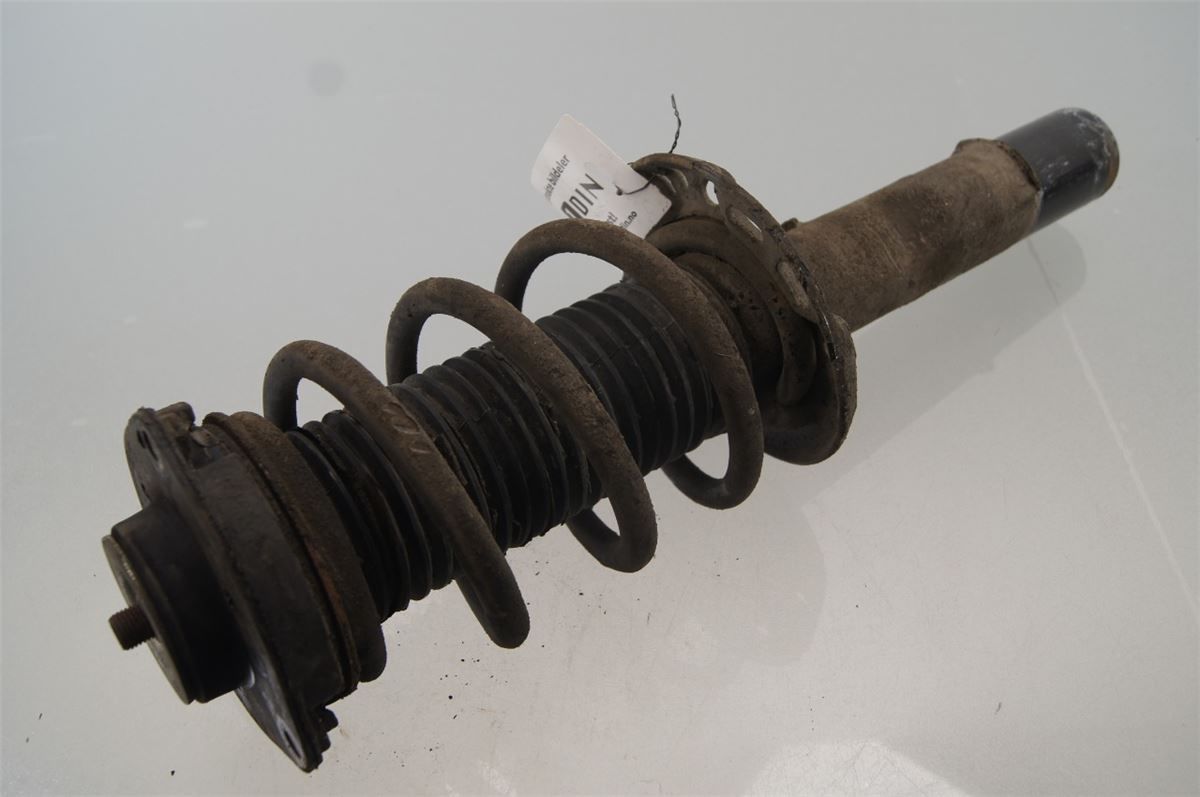 Fjærbein Foran Høyre – bilde 1