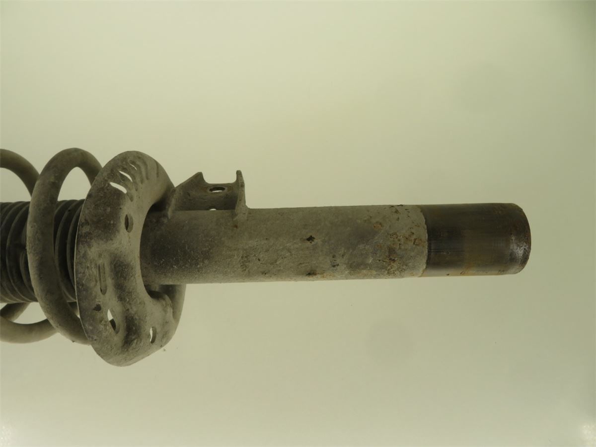 Fjærbein Foran Høyre – bilde 2