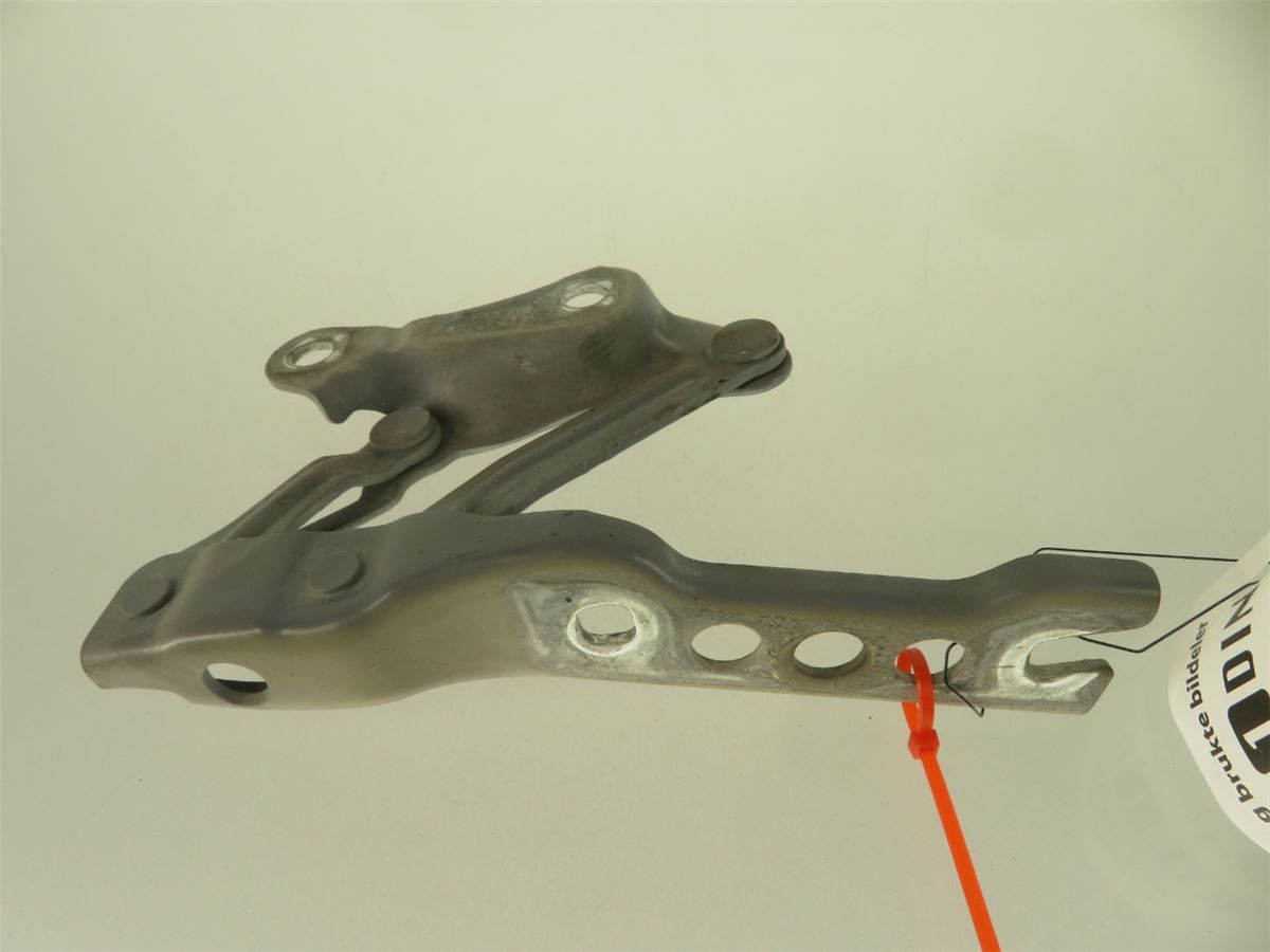 Panser Hengsel / Hengsler – bilde 1