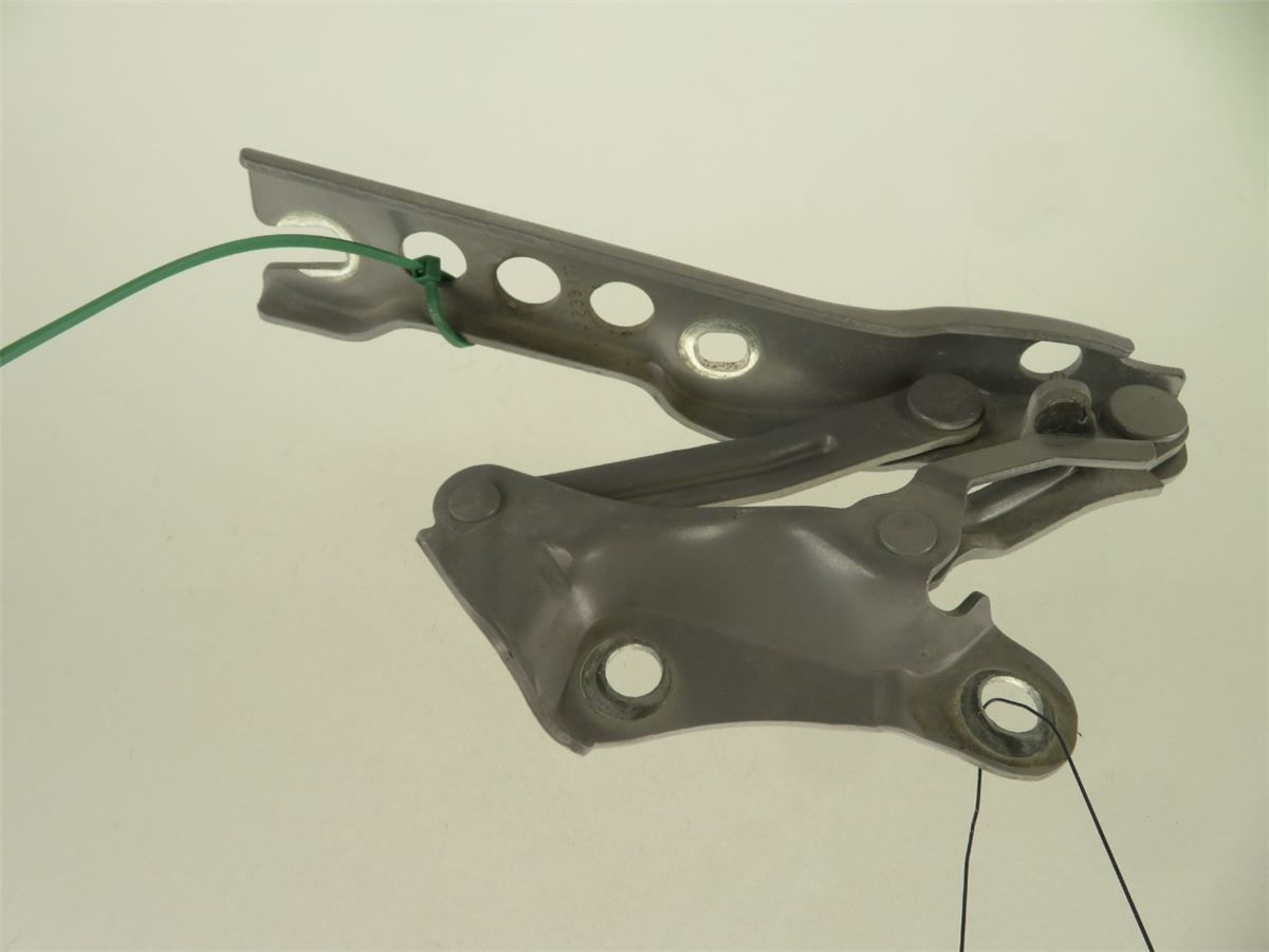 Panser Hengsel / Hengsler – bilde 1