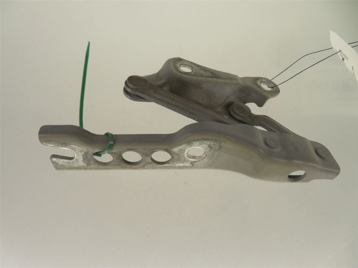 Panser Hengsel / Hengsler – bilde 2