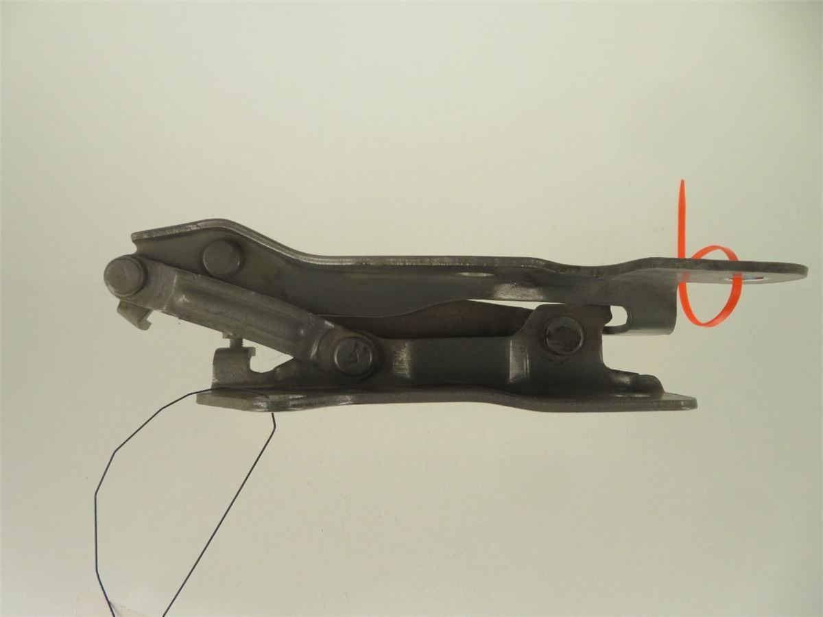 Panser Hengsel / Hengsler – bilde 1