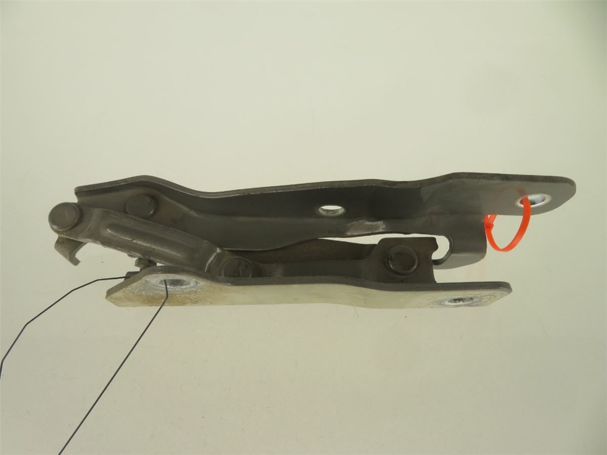 Panser Hengsel / Hengsler – bilde 2