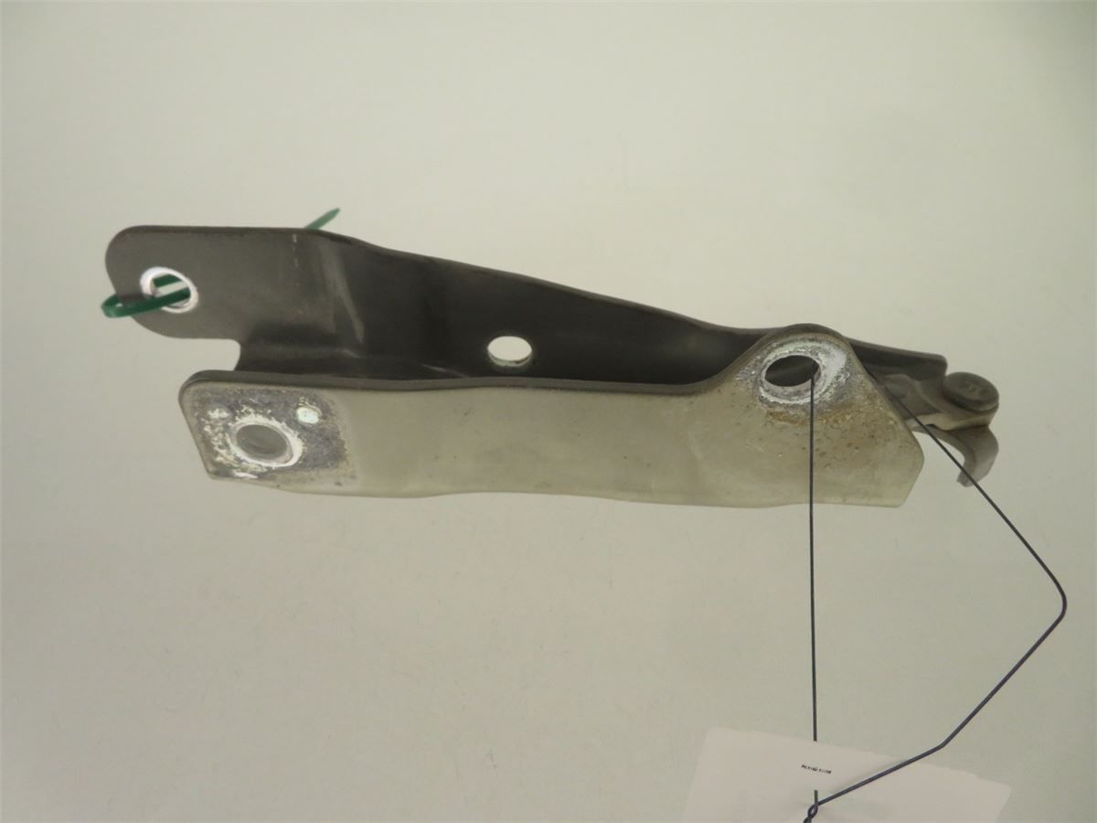 Panser Hengsel / Hengsler – bilde 2