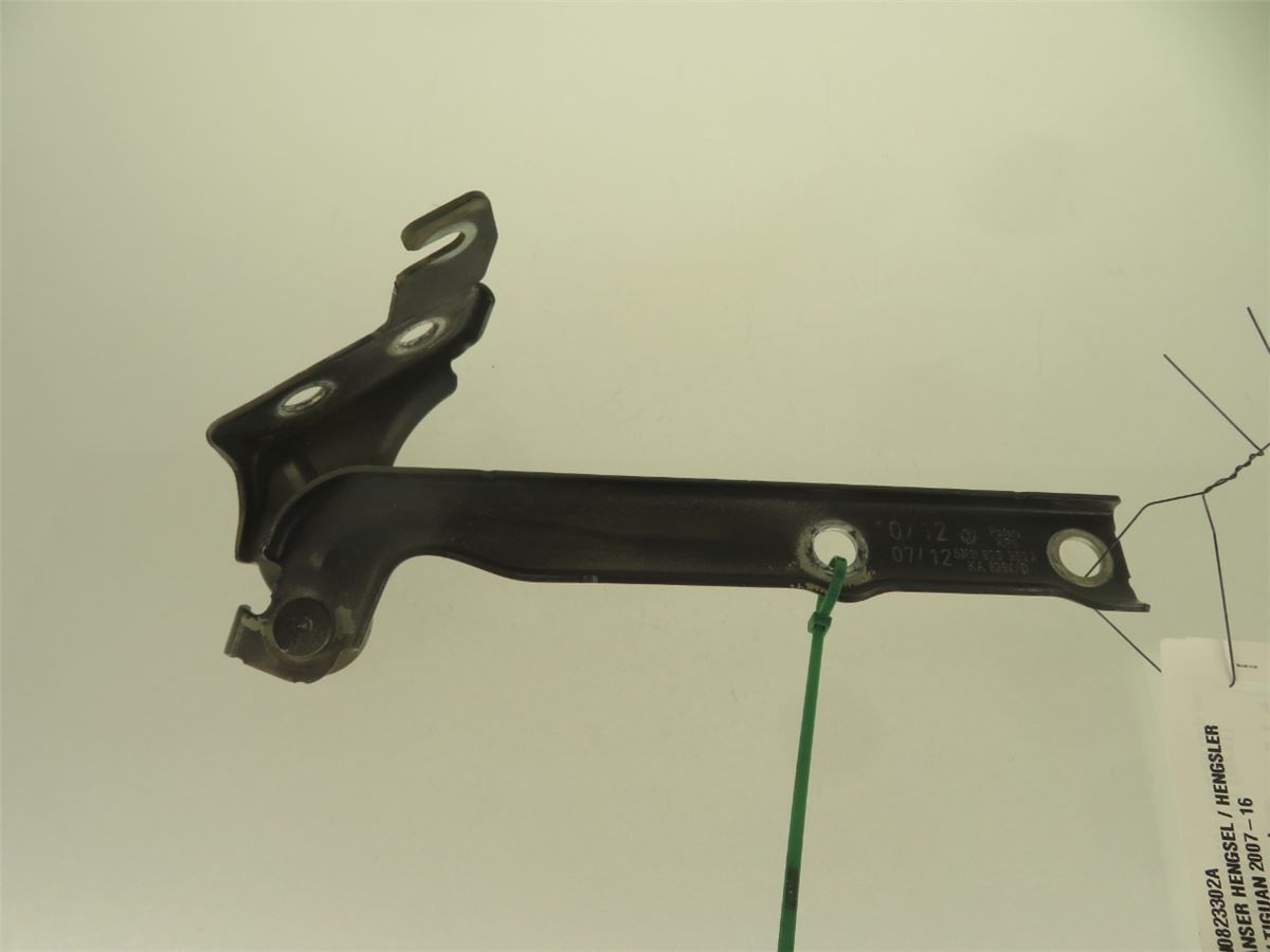 Panser Hengsel / Hengsler – bilde 1